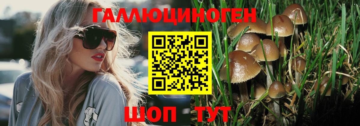 Шуя  Псилоцибиновые грибы Magic Shrooms  Вход с VPN 