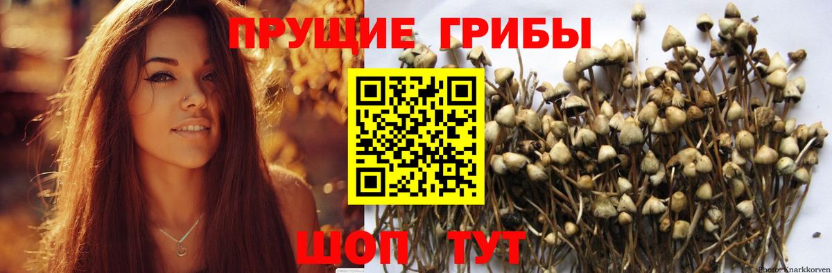Галлюциногенные грибы прущие грибы Шуя
